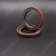 45*62*7/7,5 N1T01-PL FPM [BABSL+PTFE]